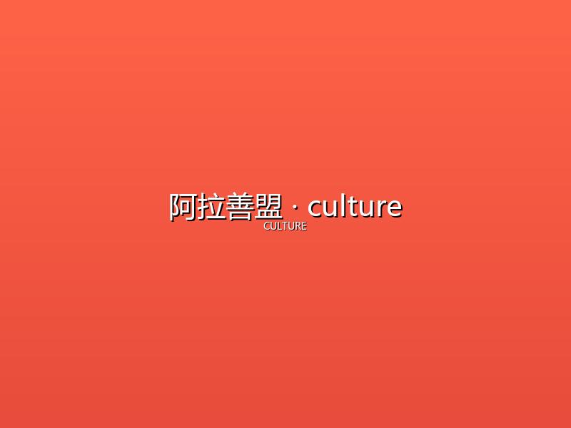 阿拉善盟 culture