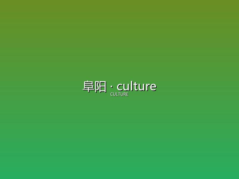 阜阳 culture