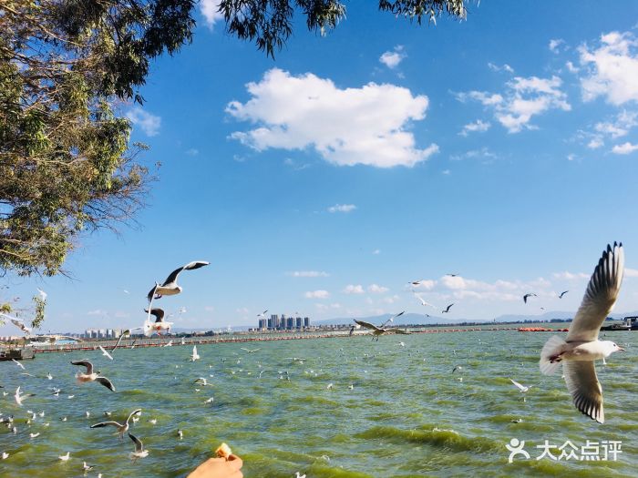 Kunming 昆明