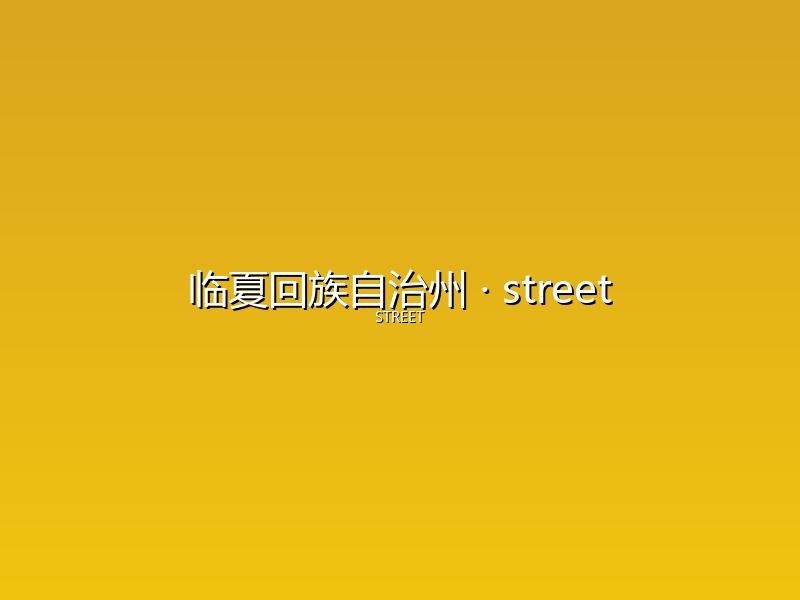 临夏回族自治州 street