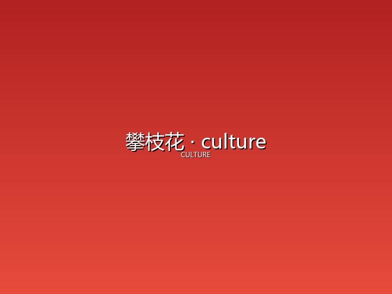 攀枝花 culture