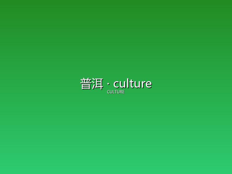普洱 culture
