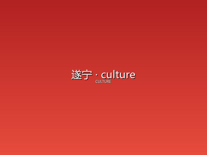 遂宁 culture