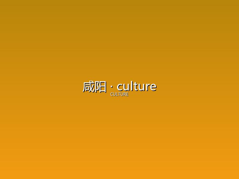 咸阳 culture