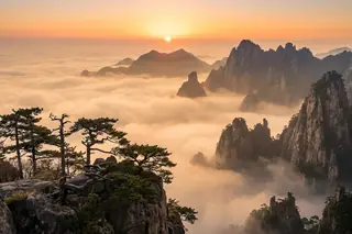 Huangshan, China — granite peaks and ancient pines rising above a sunrise sea of clouds