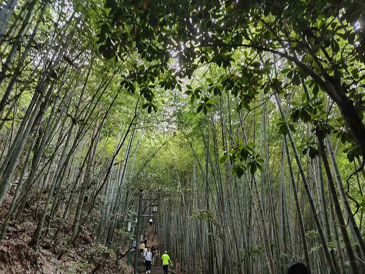 Xuancheng — Jingting Mountain
