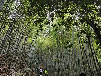 Xuancheng — Jingting Mountain