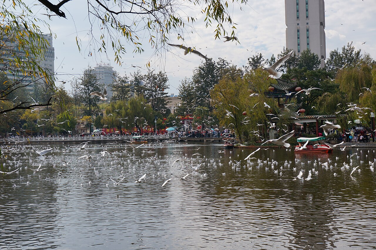 Green Lake Park (Cuihu)