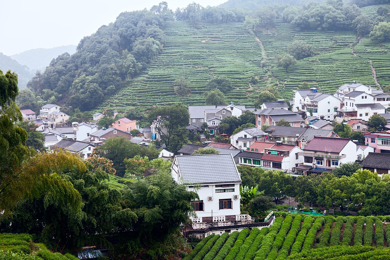 Longjing tea village terraces above Hangzhou