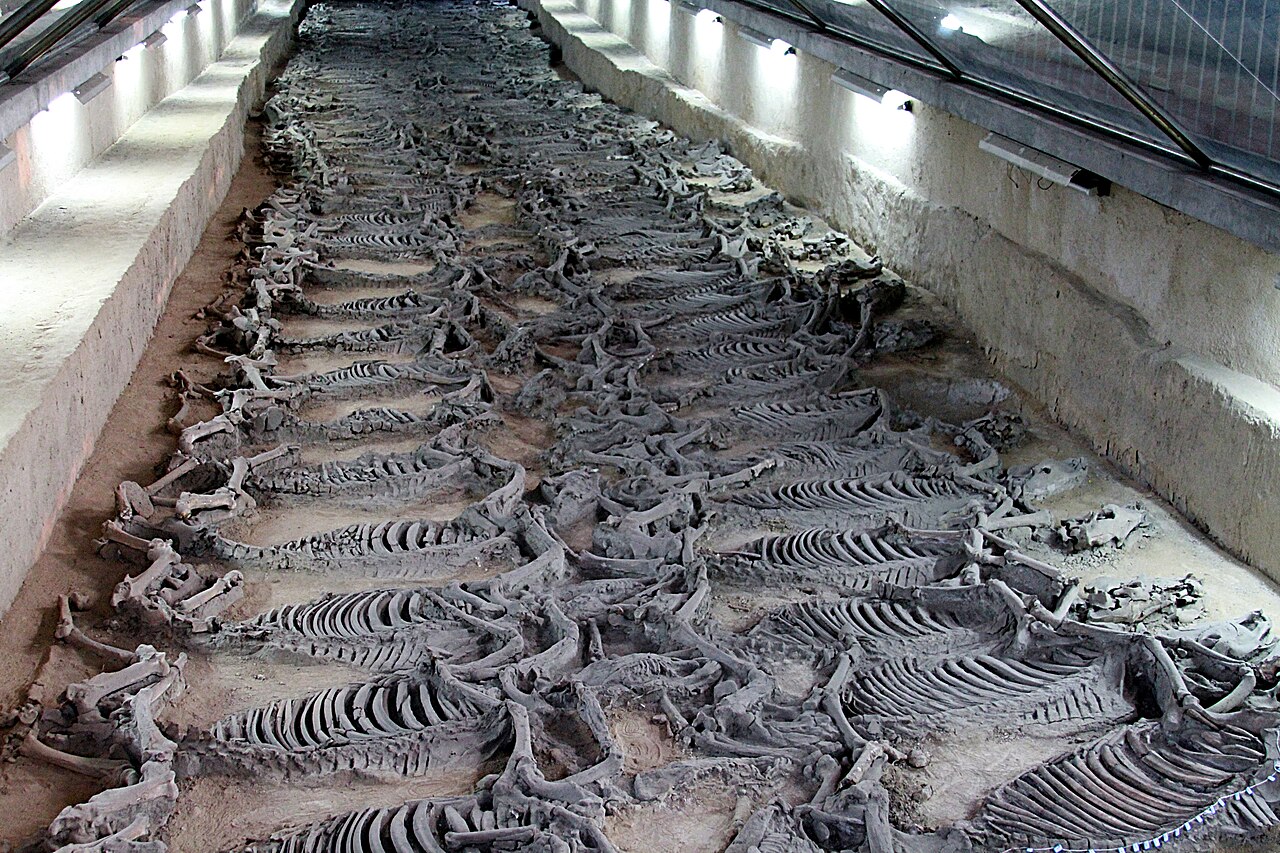 Zibo, China — The Qi State chariot museum, Zibo's clearest ancient-capital chapter