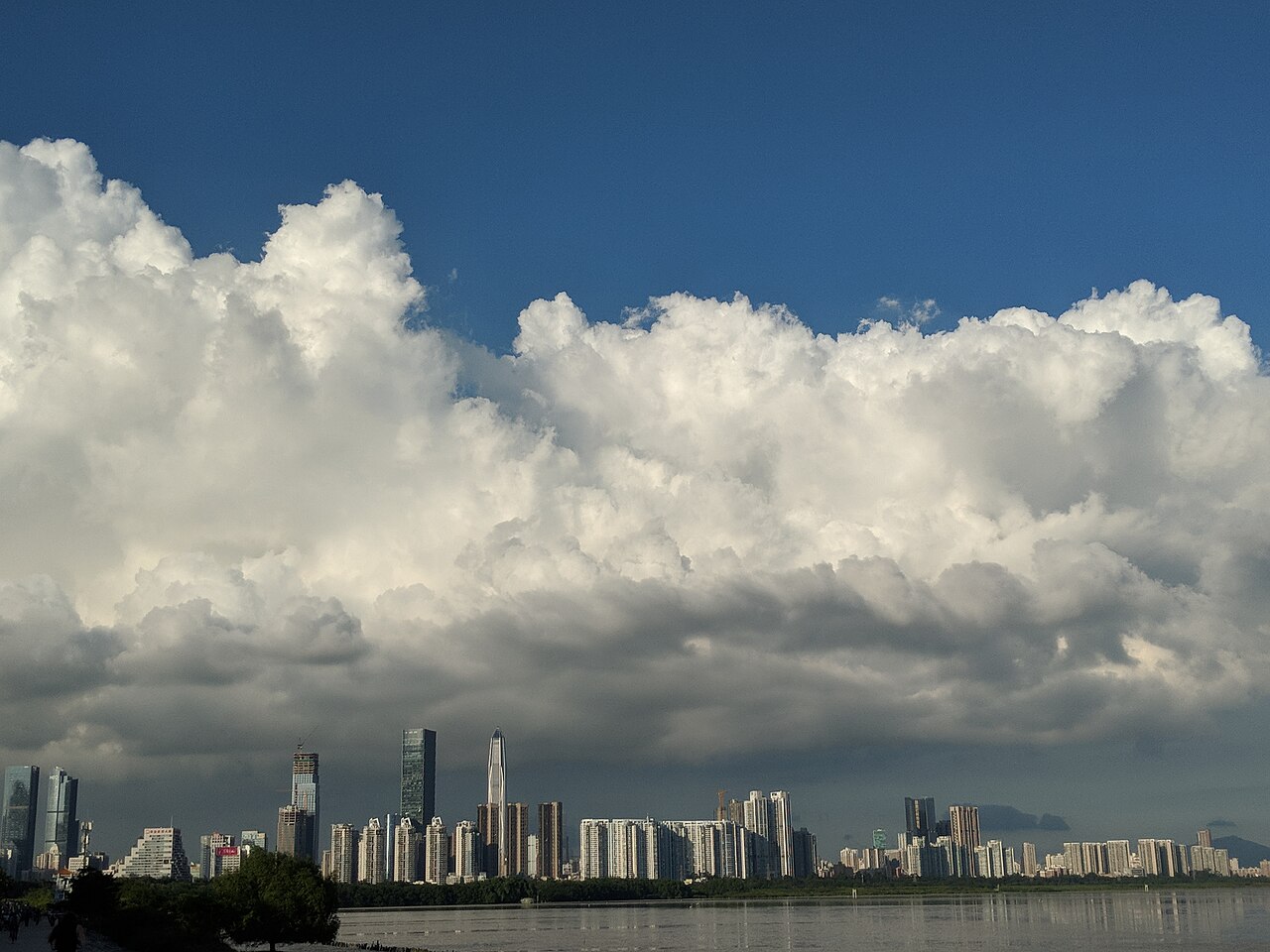 Shenzhen Bay Park