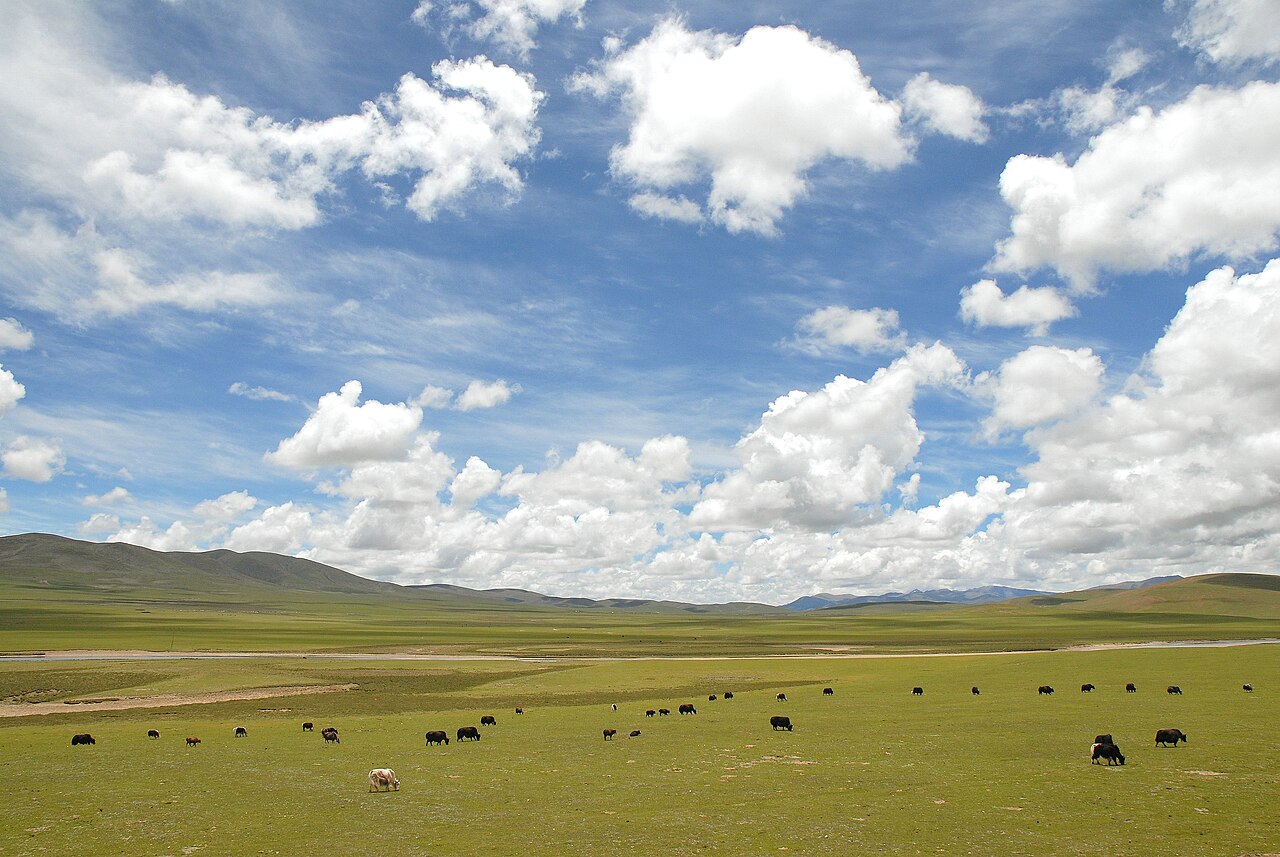 Nagqu, China — The northern Tibetan grasslands, Nagqu's clearest