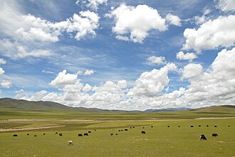 Nagqu, China — The northern Tibetan grasslands, Nagqu's clearest headline chapter